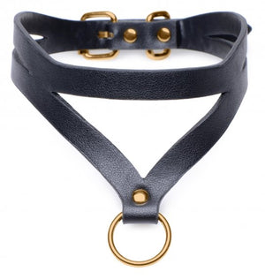Black and Gold Collar and Leash Set