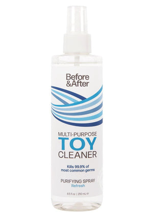Before & After Toy Cleaner Toy Care Classic Brands 8.5 oz. 