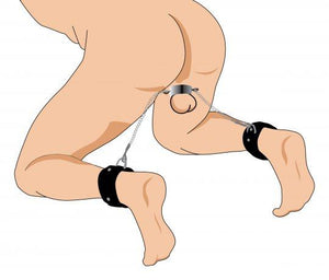 Hell's Tether Humbler BDSM > Cock & Ball Master Series