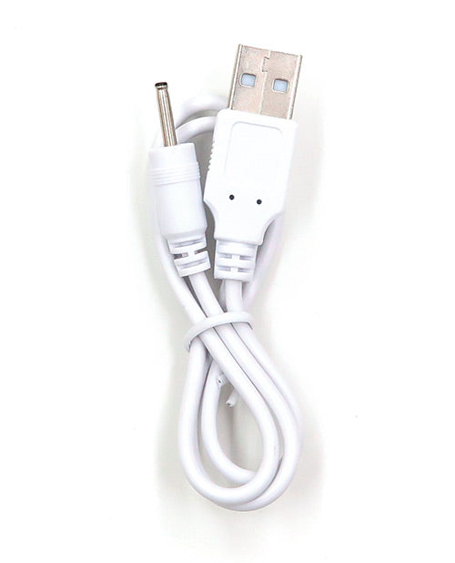 Vedo USB Charger