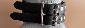 Basic Leather Posture Collar