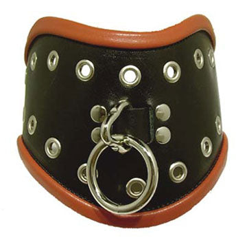 Black/Red Posture Collar