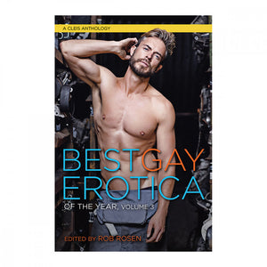 Best Gay Erotica Vol. 3