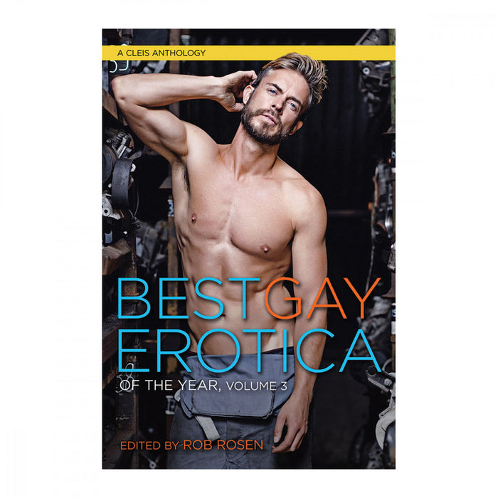Best Gay Erotica Vol. 3
