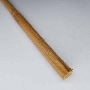 Dungeon Cane