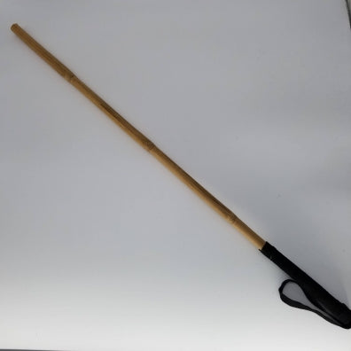 Dungeon Cane