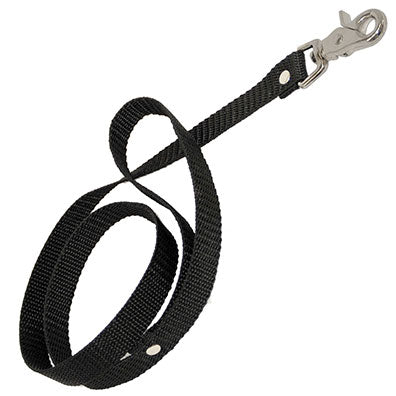 40" Webbing Leash