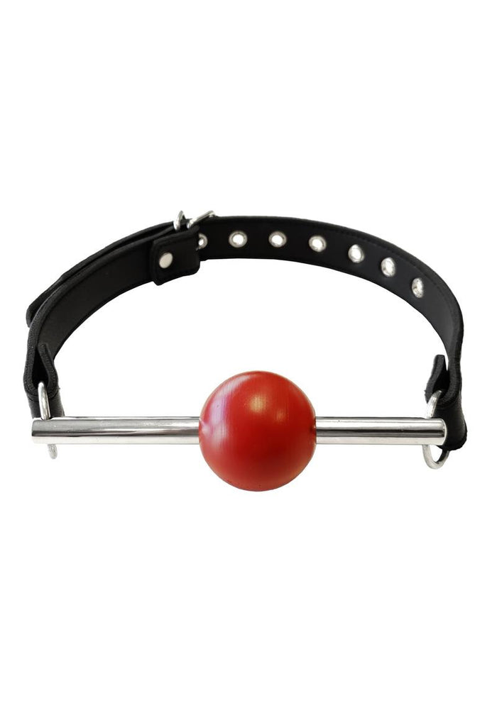 Ball Gag with Removable Ball and Stainless Steel Rod Adjustable Strap