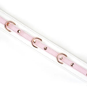 Fairy Leather Collar with Leash