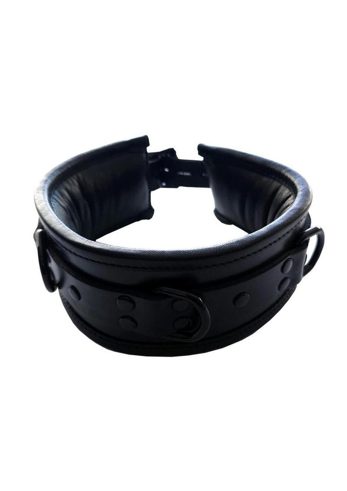 Padded Leather Collar