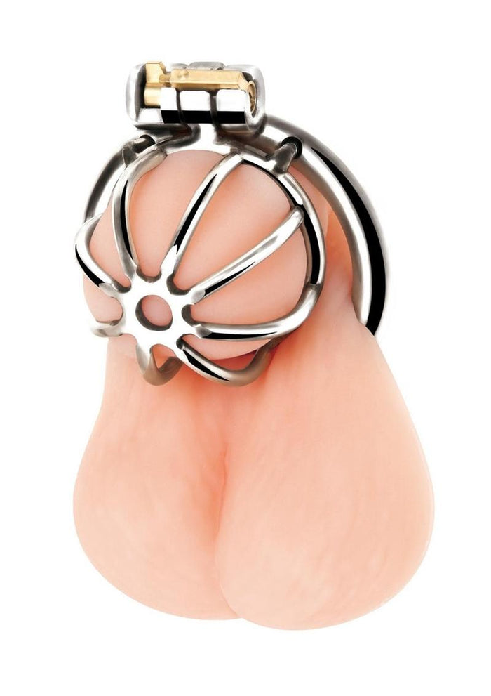 Little Cock Chastity Cage