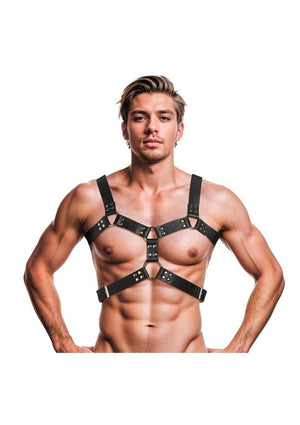 6 O-Ring Chest Harness