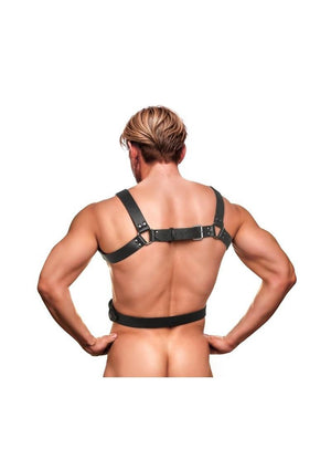 6 O-Ring Chest Harness