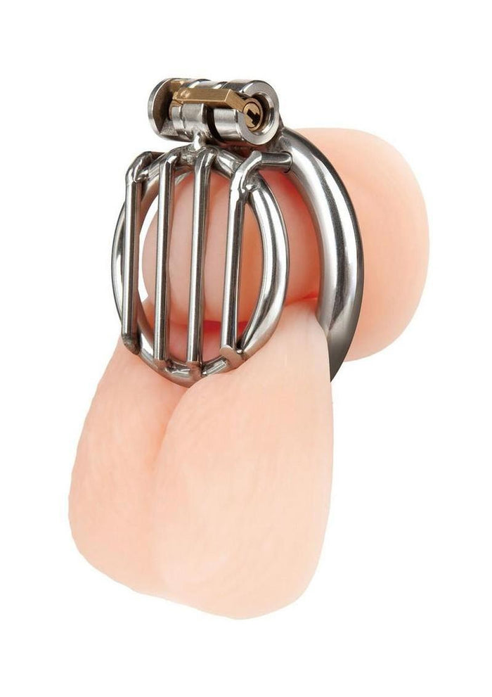Blueline Stainless Steel Inverted Micro Jail Time Chastity Cage