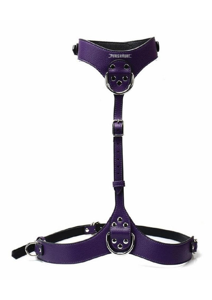 Punishment Body Harness