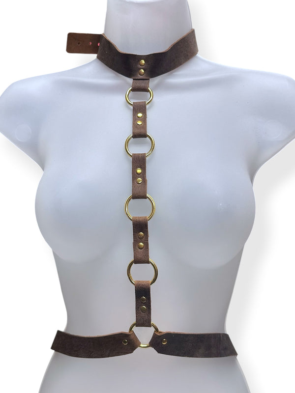 Harnesses