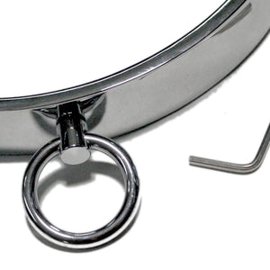 Stainless Steel Locking Collar