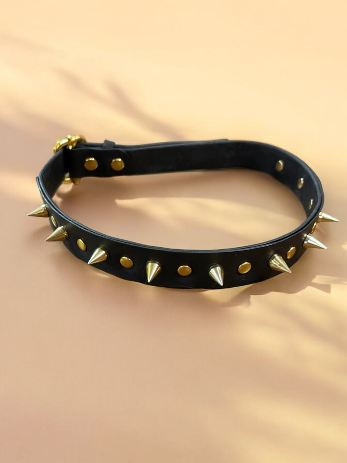 Lonicera Spiked Sliding Collar