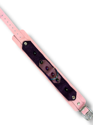 Purple & Pink Collar