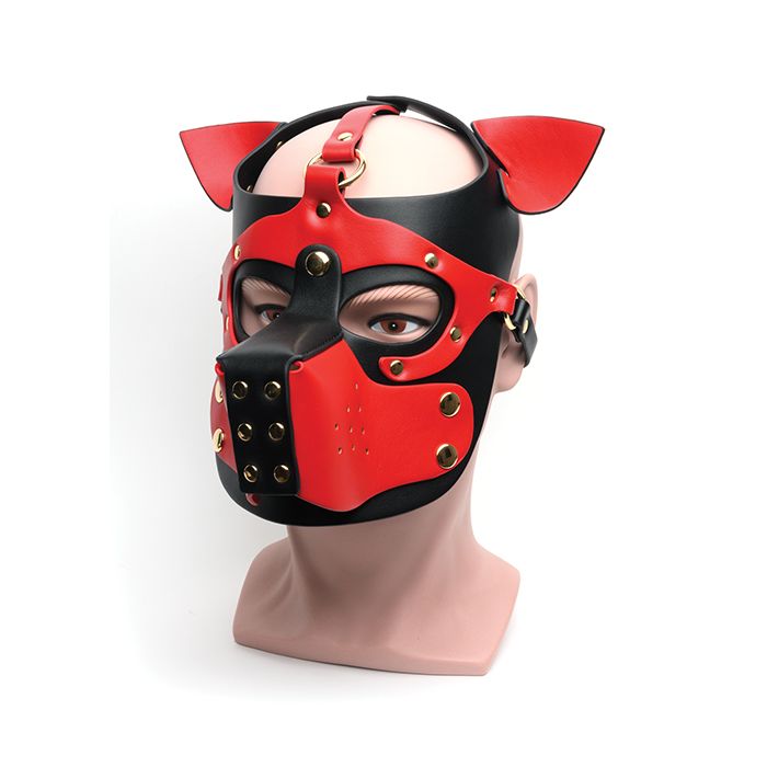 Bondage Pup Hood
