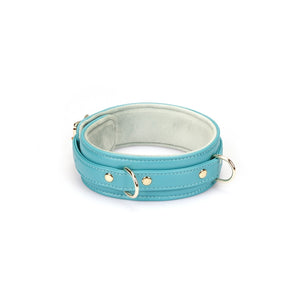 Blue Lamb Leather Collar and Leash Set