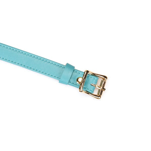 Blue Lamb Leather Ball Gag