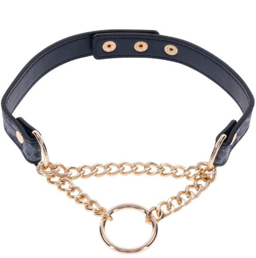 Cougar Collection Day Collar