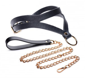 Black and Gold Collar and Leash Set