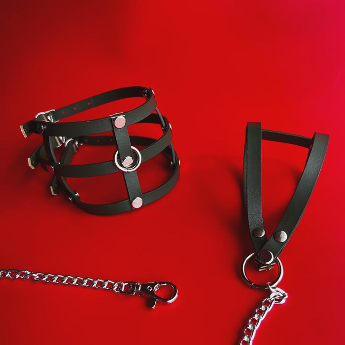 Cage Me Collar and Leash