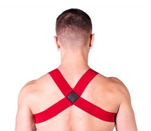 Prowler Red Sports Harness