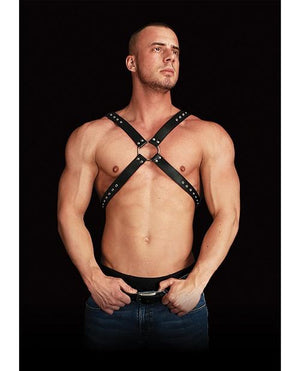 Adonis High Halter Chest Harness BDSM > Accessories Shots Toys 