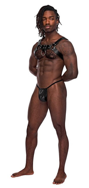 Aries Leather Chest Harness Lingerie & Clothing > For Men Male Power 