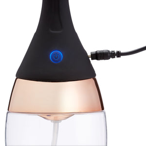 Deluxe Enema Douche with Rechargeable Sprinkler Pump and Remote Control Anal Toys Cloud 9 