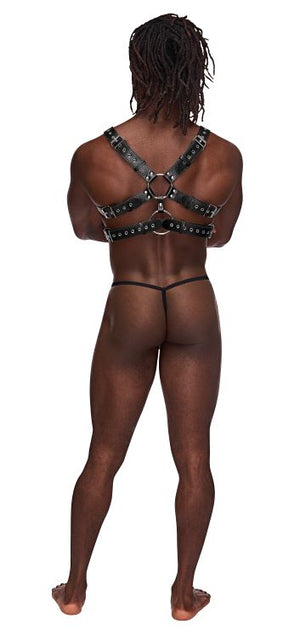 Gemini Leather Chest Harness Lingerie & Clothing > For Men Male Power 