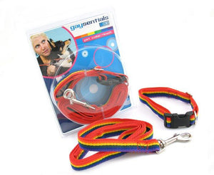 Pet Collar and Leash Set Bachelorette & Novelty Gaysentials 